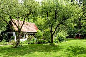 kleines haus mit garten mieten