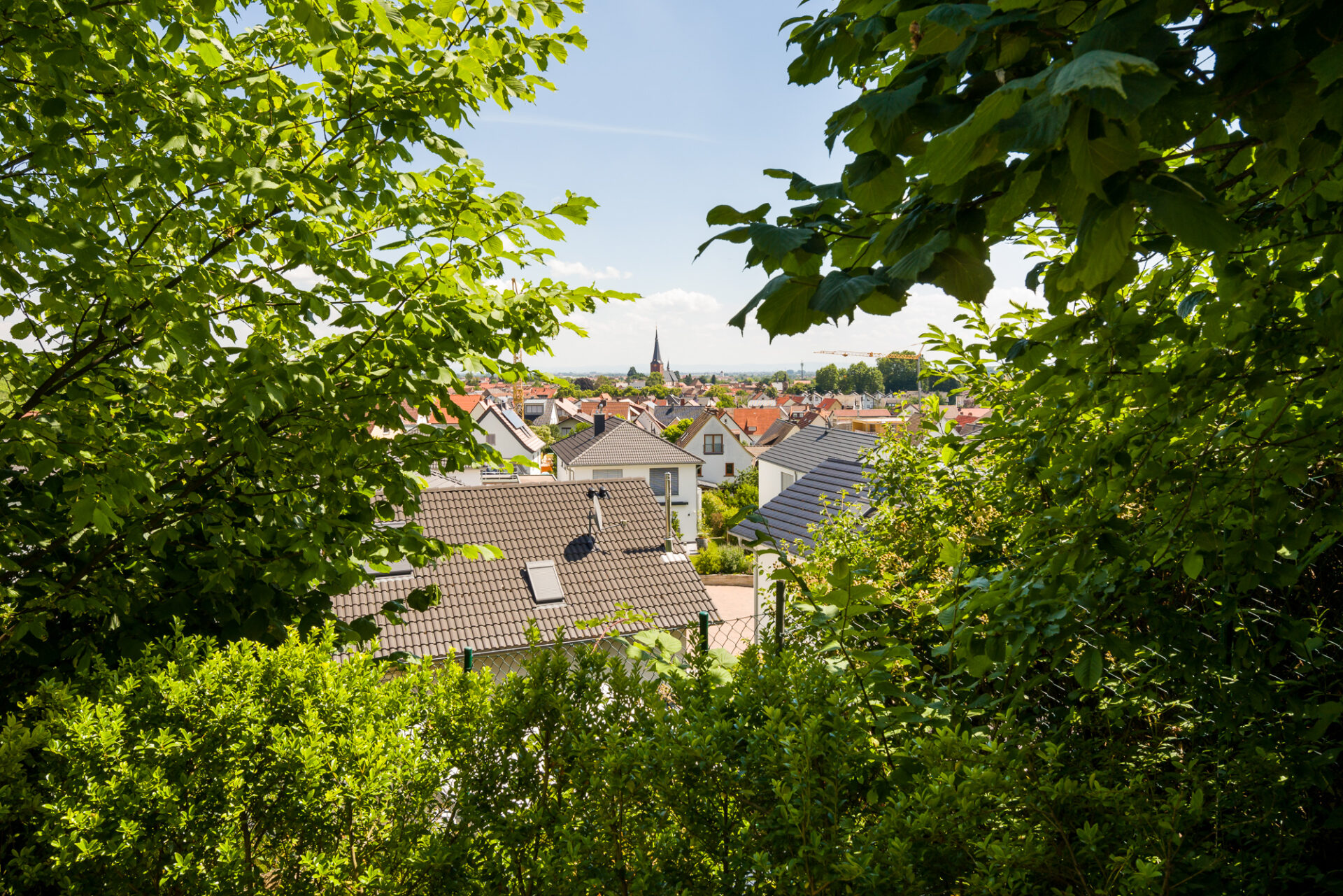 immobilienmakler frankenthal