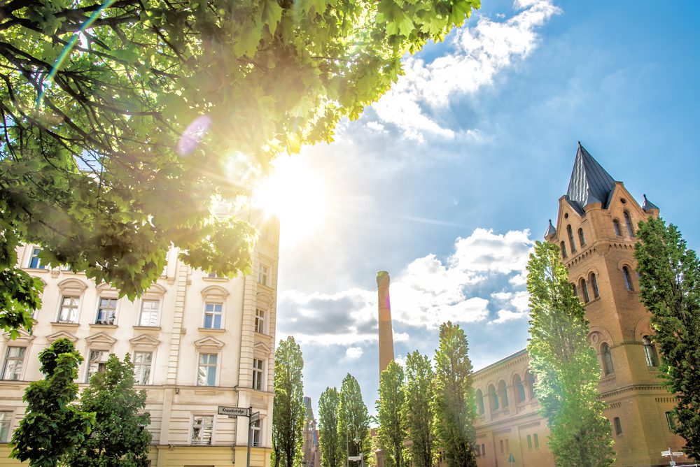 immobilienmakler prenzlauer berg